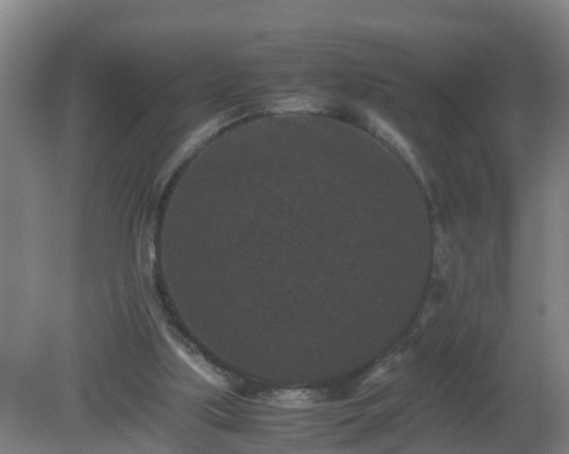 X0000080190059200612152025