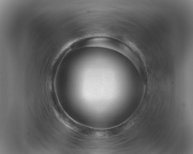X0000080190060200612152025