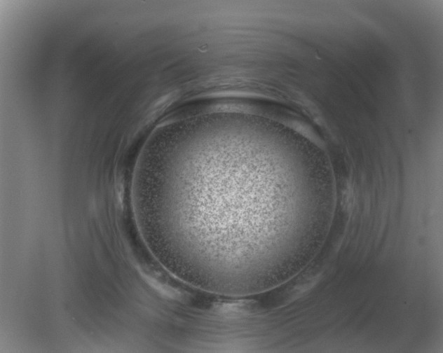 X0000080190072200612152025