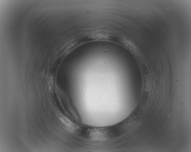 X0000080190077200612152025
