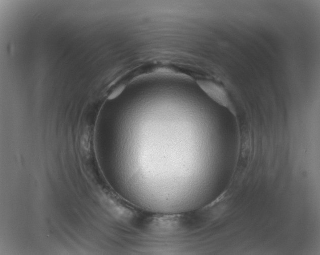 X0000080190078200612152025