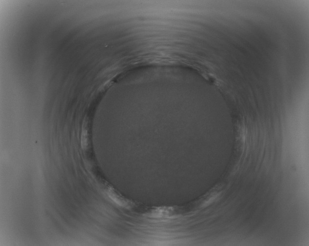 X0000080190080200612152025