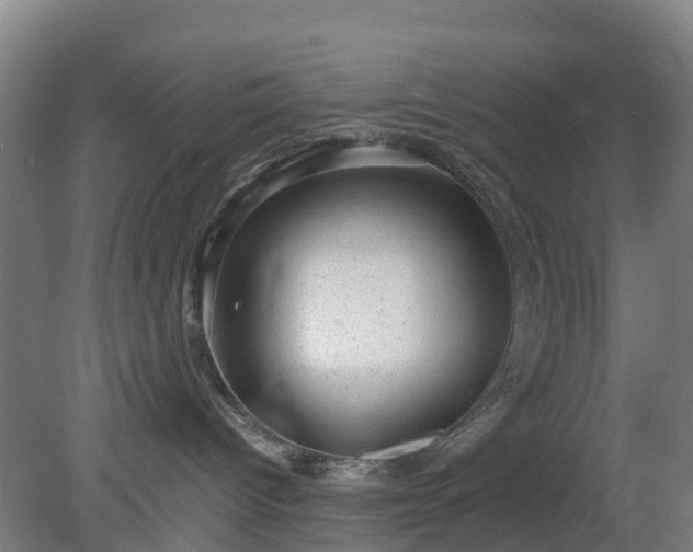 X0000080190096200612152025