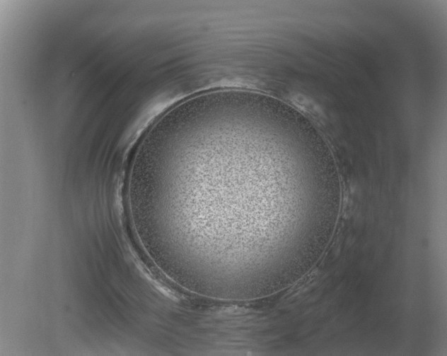 X0000080190098200612152025