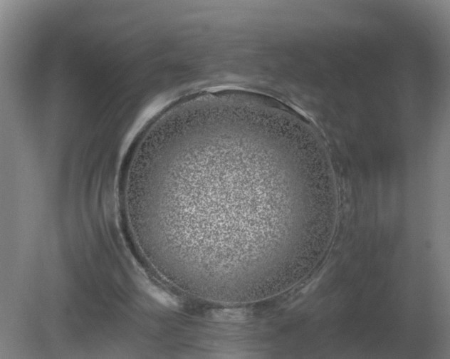 X0000080190102200612152024