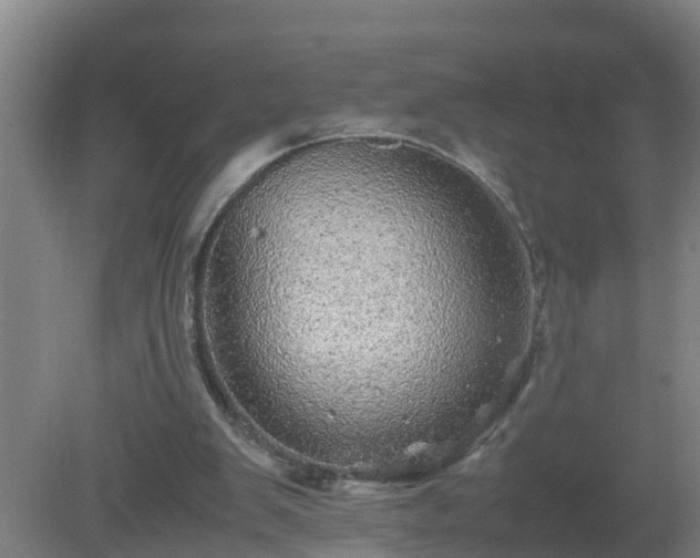 X0000080190103200612152024