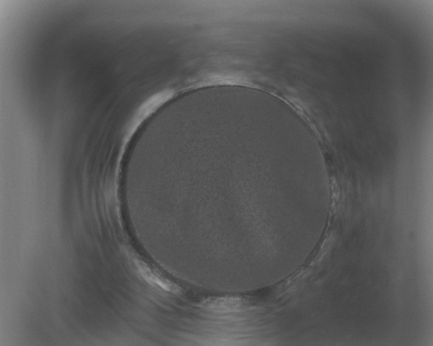 X0000080190104200612152024