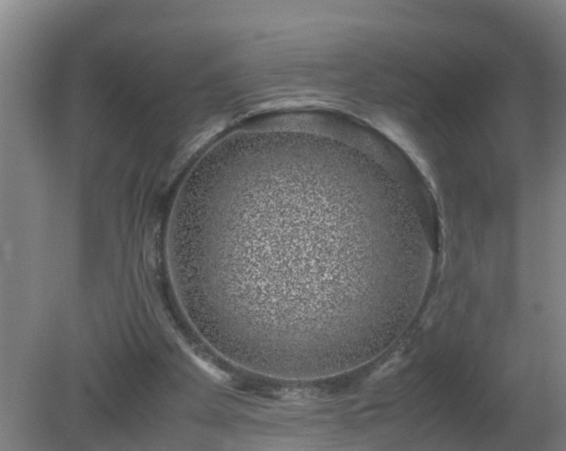 X0000080190105200612152024