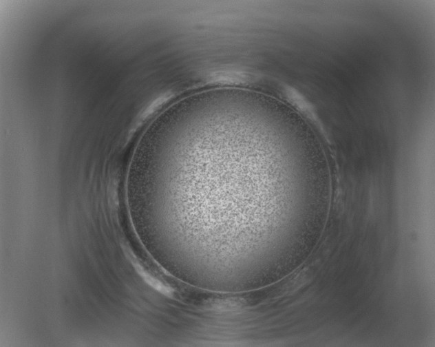 X0000080190106200612152024
