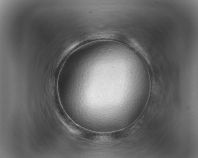X0000080190107200612152024