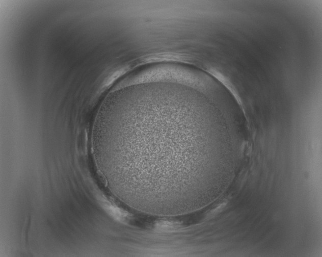 X0000080190109200612152024
