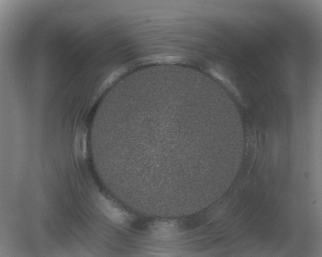 X0000080190110200612152024