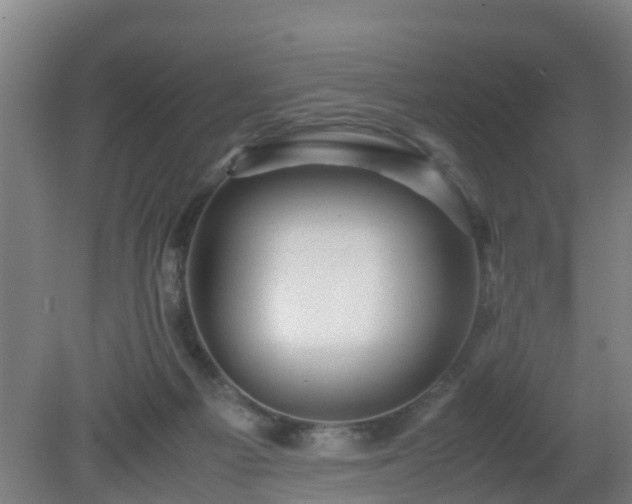 X0000080190121200612152024