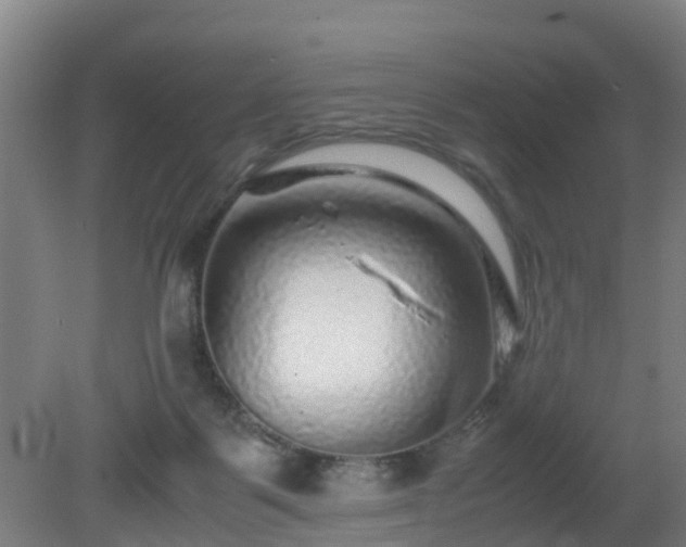 X0000080190123200612152024