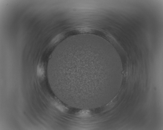 X0000080190124200612152024