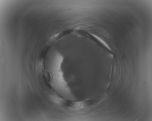 X0000080190127200612152024
