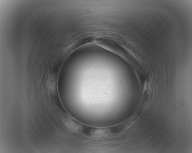 X0000080190129200612152024