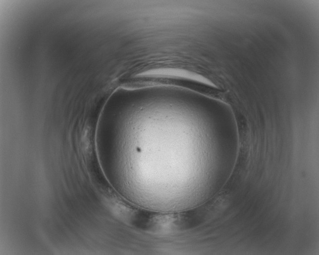 X0000080190131200612152024