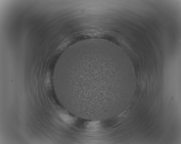 X0000080190132200612152024