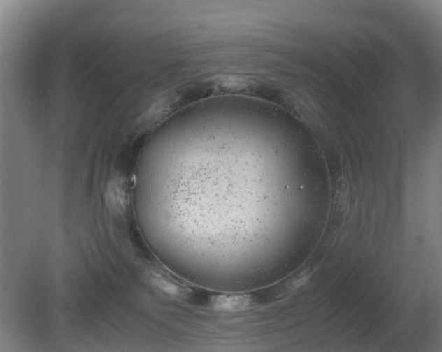 X0000080190135200612152024