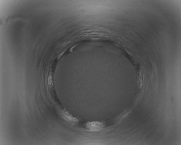 X0000080190137200612152024