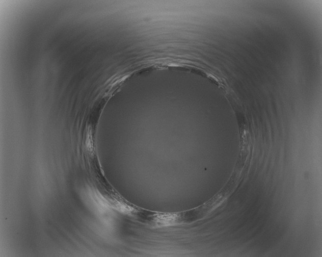 X0000080190143200612152024