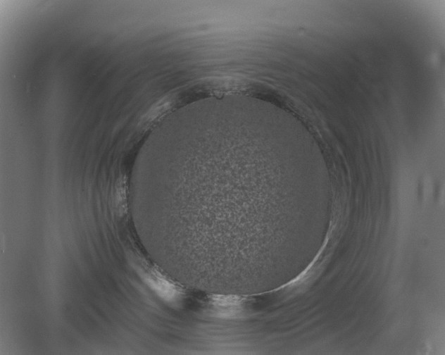X0000080190144200612152024