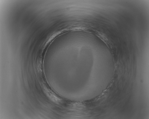 X0000080190146200612152023