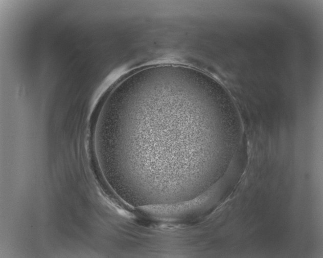 X0000080190152200612152023