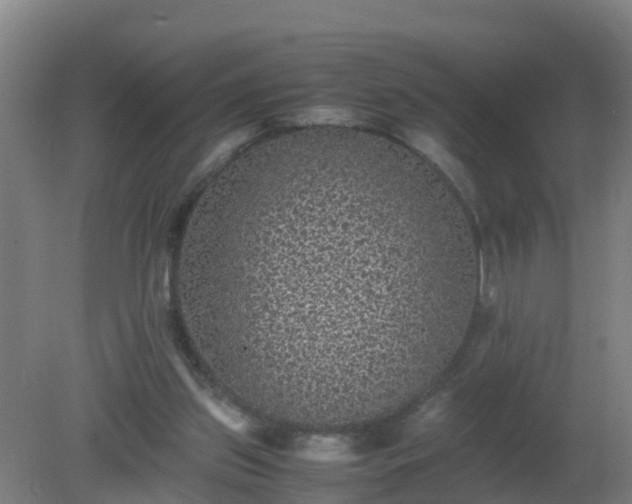 X0000080190157200612152023