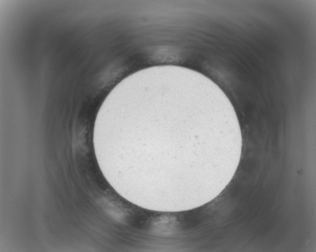 X0000080190162200612152023