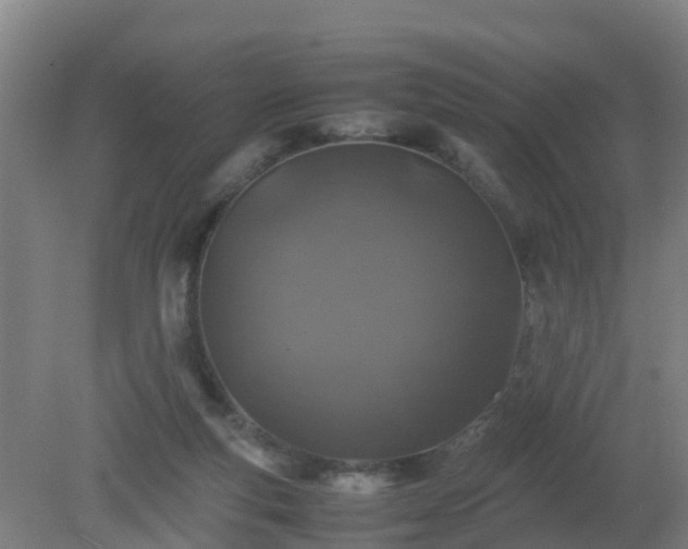 X0000080190163200612152023