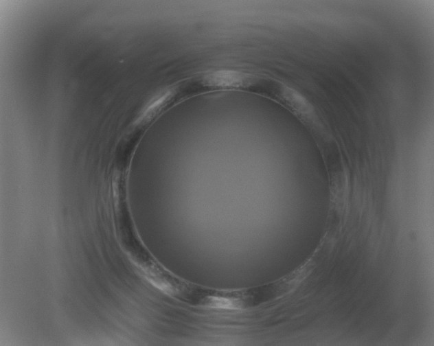 X0000080190167200612152023