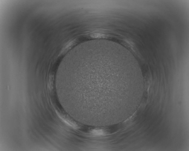 X0000080190171200612152023