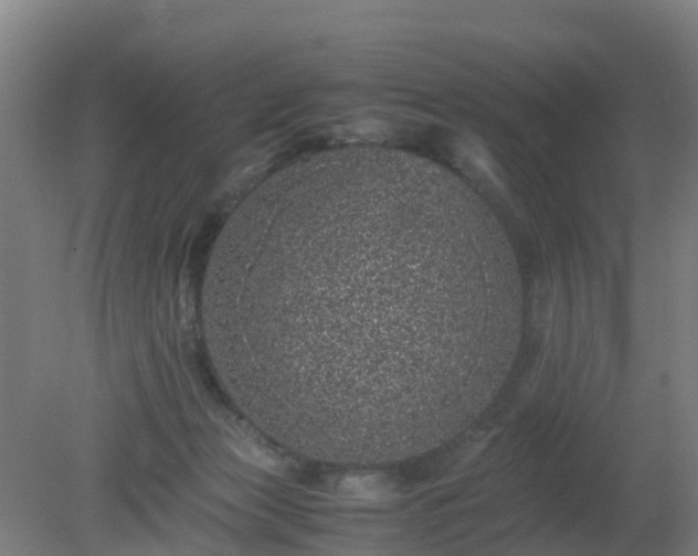 X0000080190173200612152023