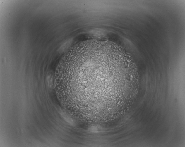 X0000080190177200612152023