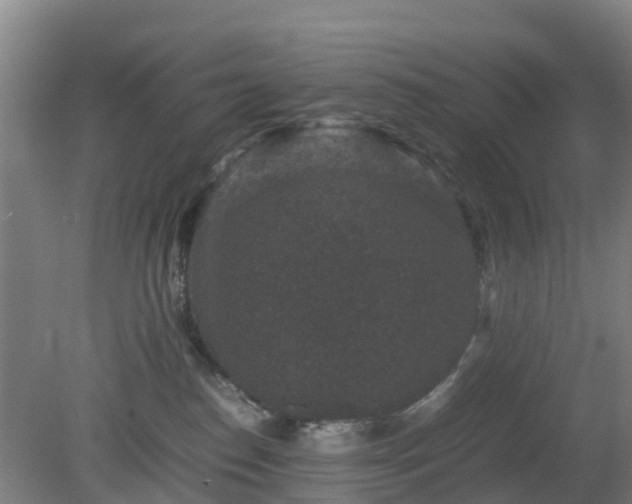 X0000080190186200612152024
