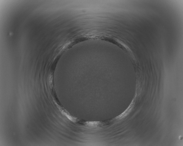 X0000080190192200612152024