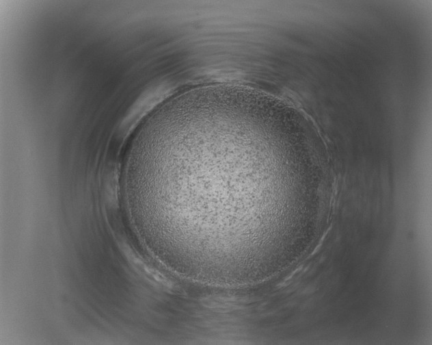 X0000080190194200612152023