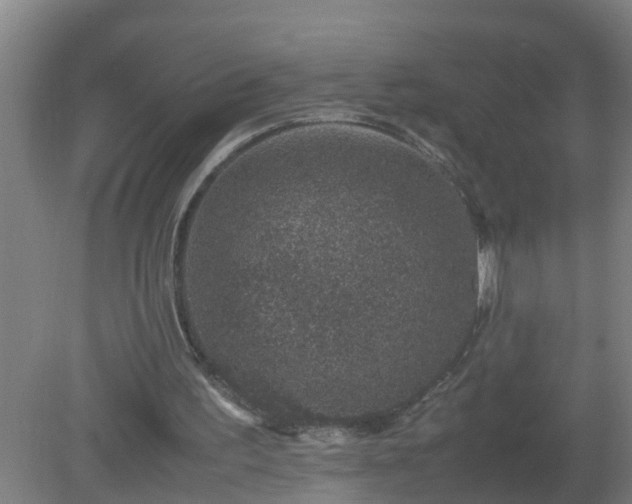 X0000080190195200612152023