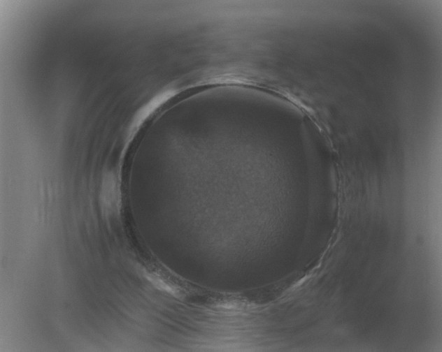 X0000080190200200612152023