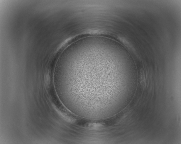 X0000080190208200612152023
