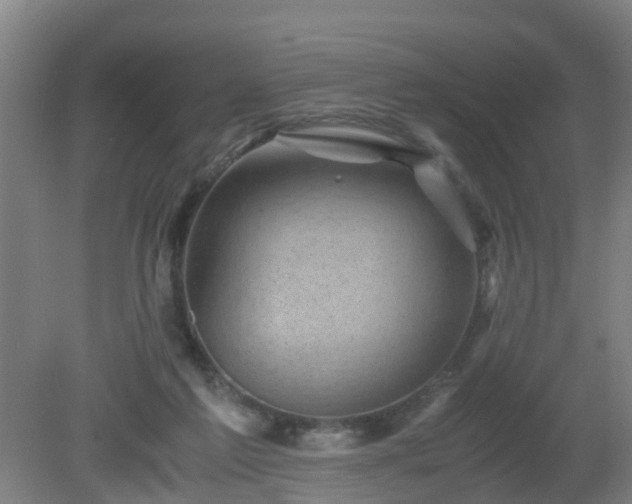 X0000080190213200612152023
