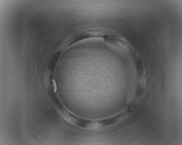 X0000080190217200612152023