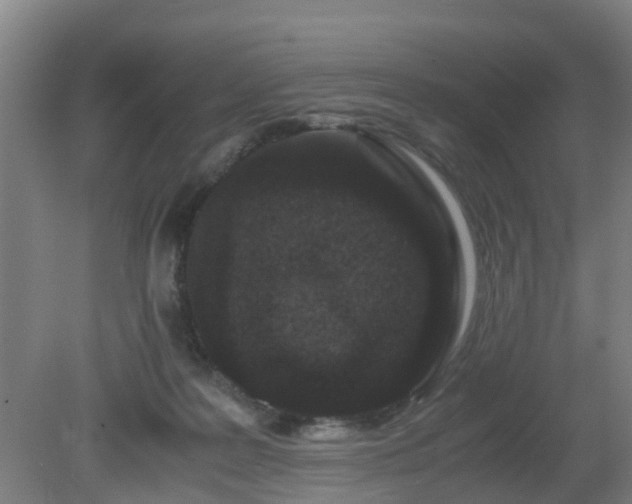 X0000080190219200612152022