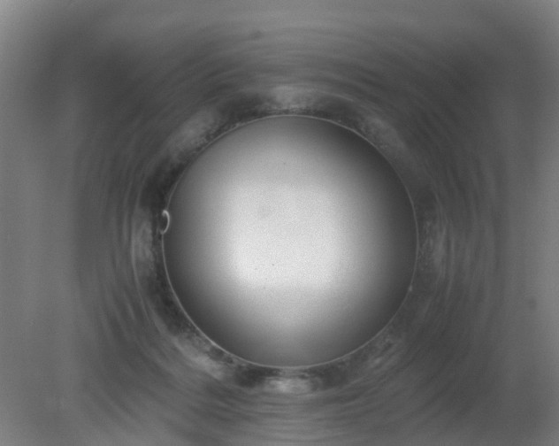 X0000080190220200612152022