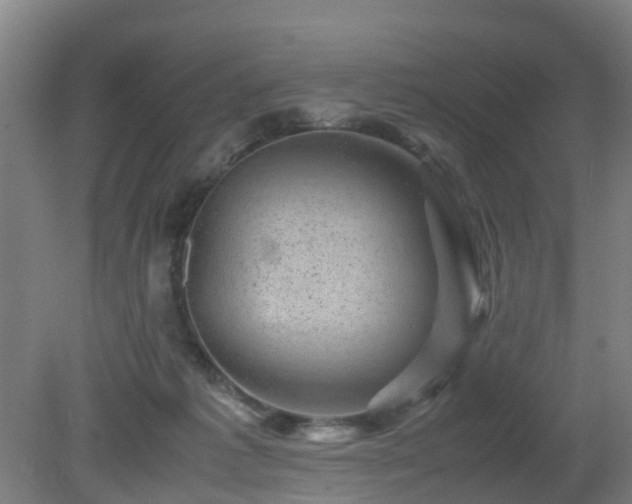 X0000080190221200612152022