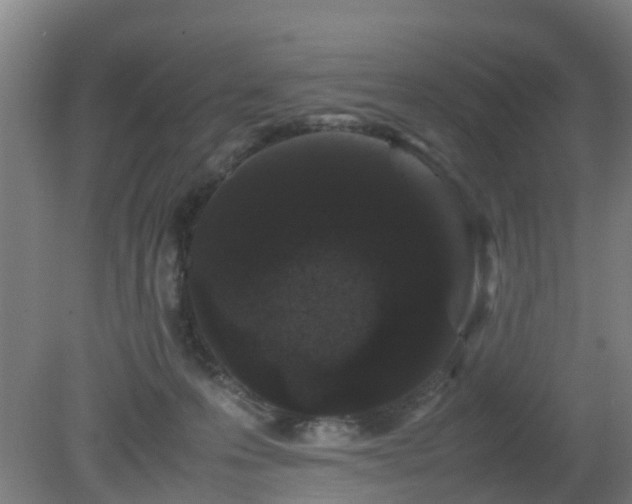 X0000080190223200612152022