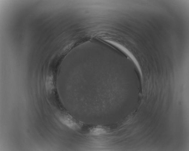 X0000080190224200612152022