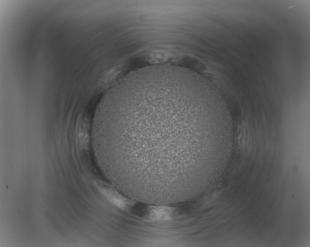 X0000080190226200612152022